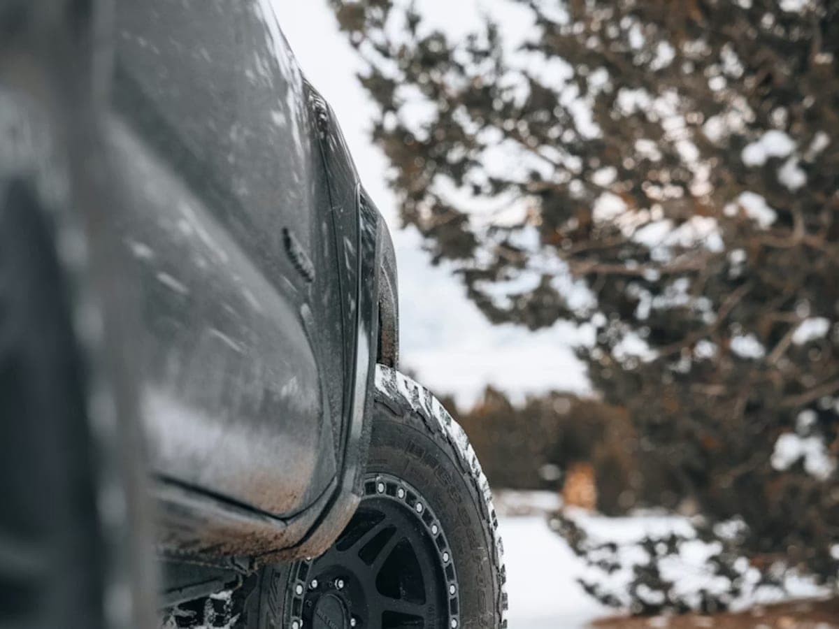 雪地里的冬胎